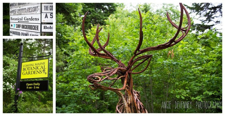 Maine Wedding Photographer